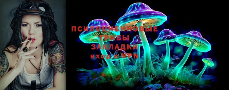 Псилоцибиновые грибы Cubensis  Кувшиново 